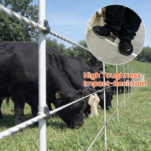 Postes de Cerca de Fibra de Vidrio Eléctricos para Granjas de Alta Calidad, Listones de Fibra de Vidrio, Cerca de Alambre, Paneles de Cerca de Fibra de Vidrio - Product Image 1