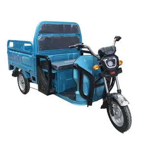 Cheap e-Trikes 3 wheel Cargo Electric Tricycles Motorcycle Three Wheel Adult