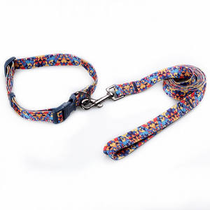 Guinzagli e Collari per Animali Domestici in Poliestere Premium di Lusso, Nastro Riflettente con Motivo Stampato, Stile alla Moda, Nastri Personalizzati - Product Image 5