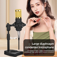 Microphone à condensateur transfrontalier BM800 V8 avec carte son USB pour téléphone portable et ordinateur, pour support cantilever et diffusion en direct