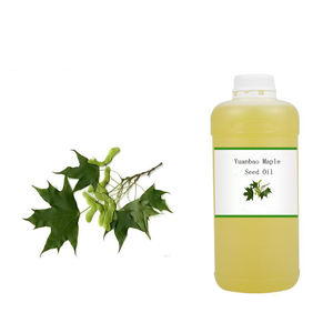 Sinir asidi 5%-6% Linolenic asit Flavone ve E vitamini Yuanbao akçaağaç tohumu zengin yeni kaynak gıda ektrakt yağı - Product Image 4