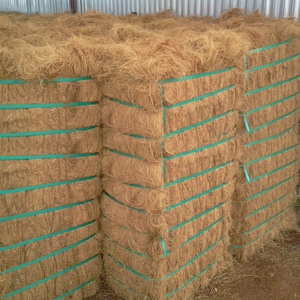 Venta al por Mayor de Fibras de Coco Crudas Ecológicas para Construcción, Hechas en Vietnam, Alta Calidad, Precio Económico - Product Image 1