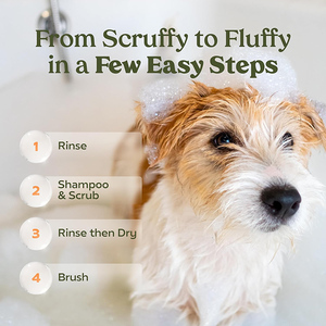 Shampooing désodorisant pour chien hypoallergénique entièrement naturel OEM avec flocons d'avoine et d'aloès apaisant pour peaux sèches et allergiques - Product Image 6