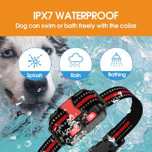 Pet <span class=keywords><strong>Shock</strong></span> <span class=keywords><strong>Collar</strong></span> de entrenamiento de operación de la batería perro corteza capacitación <span class=keywords><strong>Collar</strong></span> electrónico Anti corteza <span class=keywords><strong>Collar</strong></span> de perro - Product Image 4