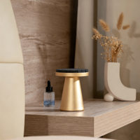 Diffuseur d'arômes d'huiles essentielles compact sans eau, design en alliage d'aluminium pour les espaces intérieurs