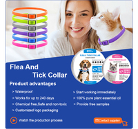 Collier réglable écologique anti-puces et tiques pour chat et chien avec huiles essentielles végétales - Accessoires