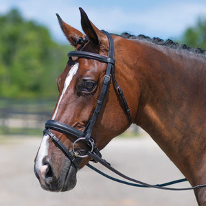 Bridon d'équitation de haute qualité, durable, en cuir véritable, personnalisable (logo, couleur, design et tailles) - Product Image 4