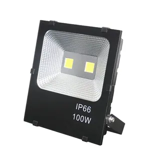 Cob Outdoor Project Led Flood Light per Park 10W 20W 100 Watt 150W 200watt Warm White 75 80 IP65 Led Floodlight Landscape 30000