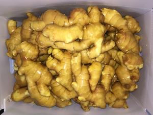 Gengibre jovem fresco 200g Jining rico fazendeiro venda quente na China 2025 novo - Product Image 4