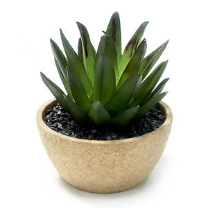 <span class=keywords><strong>Echeveria</strong></span> Artificial en Maceta de Pulpa de Papel con Piedras Negras, Suculenta Artificial Realista para Decoración del Hogar u Oficina - Product Image 1