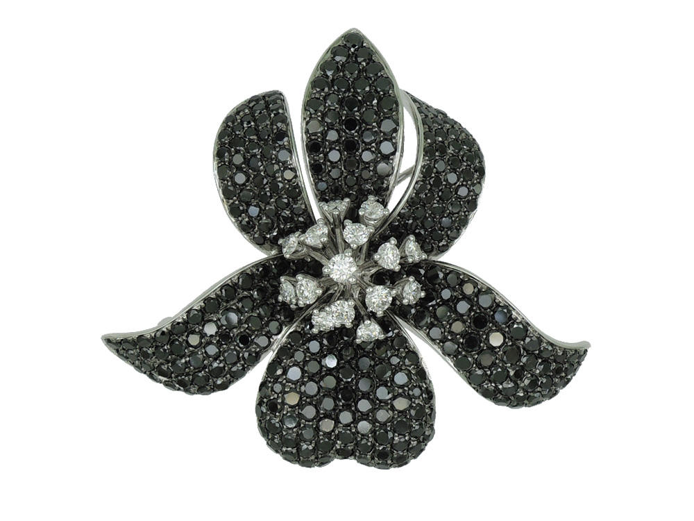 ตามที่แสดง