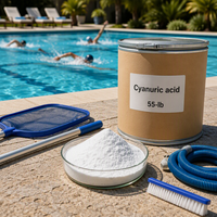 Chlorinateur de piscine à l'acide cyanurique SS0922 pour piscine, entrepôt américain