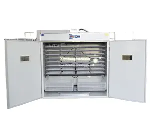 Inkubator harga pabrik Cina ayam putih telur mesin tetas Harga struktur eksterior dalam baja warna-warni pelat 200 1056 PCS