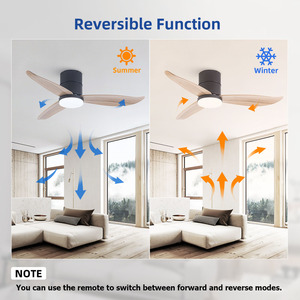Flush Mount <strong>Ceiling</strong> <strong>Fans</strong> Hugger <strong>Fan</strong> Low Profile <strong>Ceiling</strong> <strong>Fans</strong> With <strong>Lights</strong> ABS Blade DC Motor