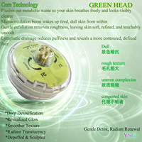 Appareil de beauté facial à technologie d'infusion magnétique MIT, machine professionnelle pour essences cutanées, capsules végétales, SPA en plastique