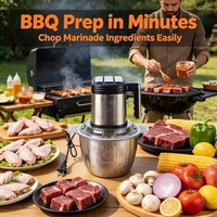 Hachoir Électrique Puissant pour Légumes, Mini Mixeur de Cuisine pour Viande et Fruits