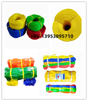 Nouvelle Corde de Pêche en Nylon Torsadé 380D, PP, PE, Diamètres 1.5mm, 2mm, 3mm, 5mm, Matériau Polyéthylène, Emballée en Rouleau, Bobine, Filets, Emballage