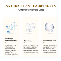 Logo personnalisé brillant à lèvres hydratant repulpant brillance formule non collante tenue longue durée hydratant maquillage des lèvres liquide végétalien