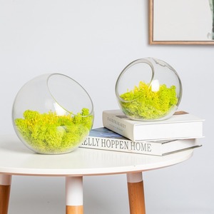 <span class=keywords><strong>Vaso</strong></span> di vetro sferico trasparente moderno <span class=keywords><strong>con</strong></span> bocca inclinata creativa copertura di fiori eterna contenitore succulento idroponico impianto - Product Image 3