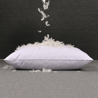 Coussin de salon, oreiller en plumes d'oie blanches sans impression, pour la maison et l'hôtel, excellent produit, cœur d'oreiller en plumes, vente en gros