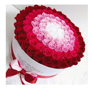 Cadeau de saint valentin reale natürliche ewige rose dia enamor san valentin konservierte blume rose dia san valentin