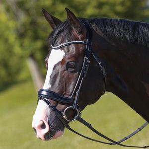 บังเหียนแบบ Anatomic Snaffle คุณภาพสูง พร้อมสายรัด Flash หนังนุ่ม ปรับได้ อุปกรณ์ฝึกม้า - Product Image 2