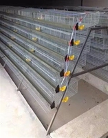 Cages et équipements d'élevage en couches pour animaux : Cage d'élevage de type A pour cailles
