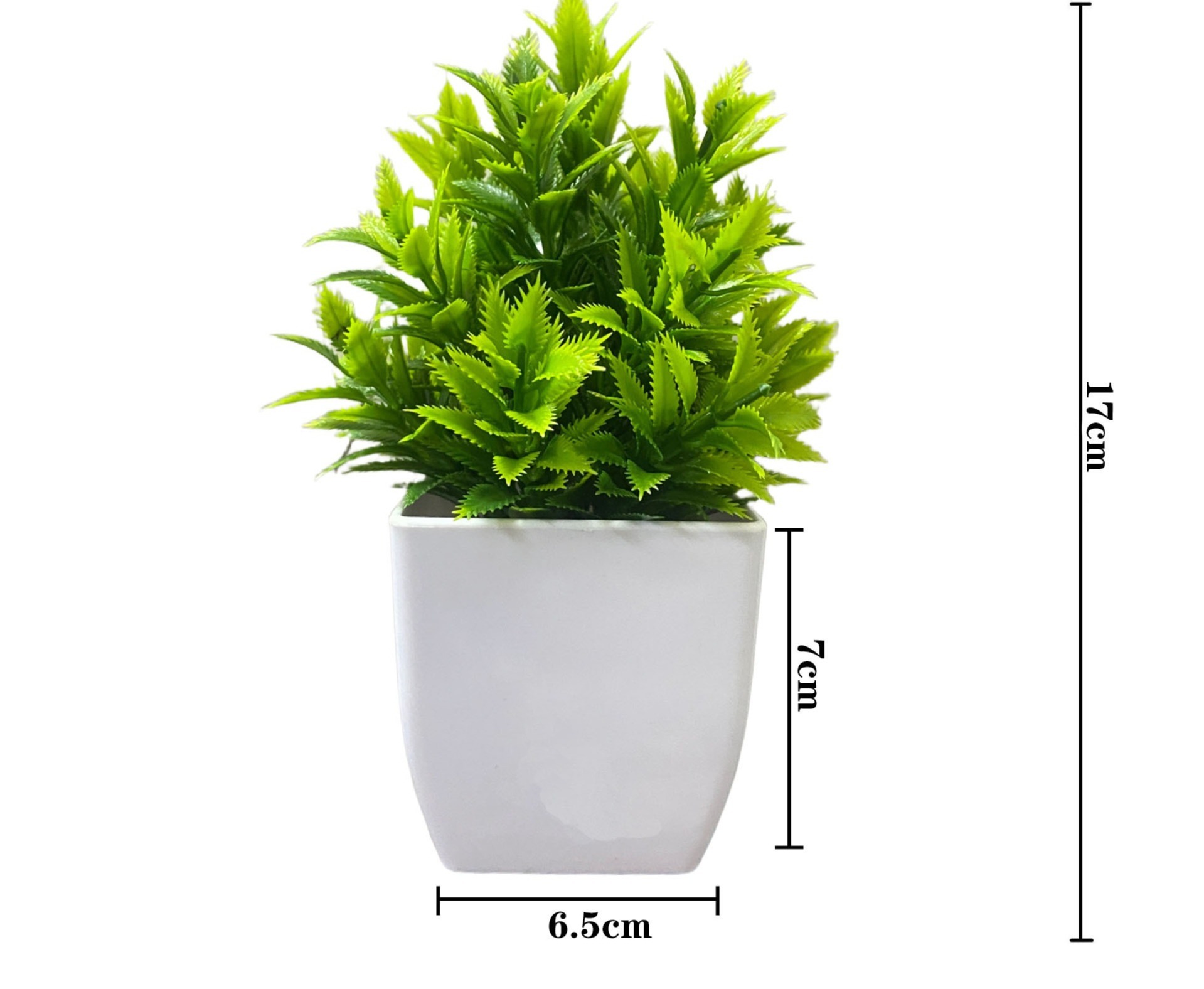Pineapple grass potted plants green