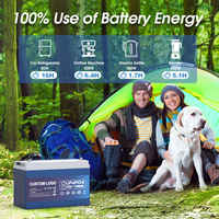 Baterai Lifepo4 Lithium Ion 12v 100ah 200ah 300ah untuk Penyimpanan Energi Rumah Tangga Tenaga Surya dan Cadangan Daya