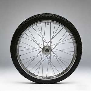 Rueda de Bicicleta de 20 Pulgadas con Llanta Exterior de Poliuretano, Buje de Hierro y Rodamientos de Bolas, Nueva Rueda de Carro a Precio de Fábrica - Product Image 6