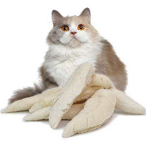 100% טבעי בשר חיות מחמד הקפאת מזון עוף שליו Caplin חתול פינוקים כלבים וחתולים מזון להקפיא מיובש לחיות מחמד חטיף - Product Image 2