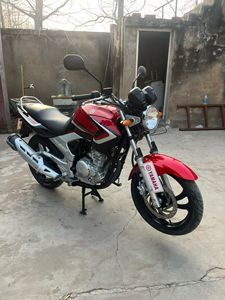 Motocyclettes d'<span class=keywords><strong>occasion</strong></span> Yamaha YBR250 250cc, motos tout-terrain, motos de rue, conduite confortable, performances puissantes, prêtes à rouler - Product Image 2