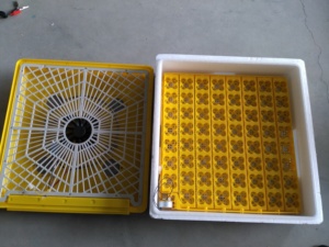 ZH-63 Tự Động <span class=keywords><strong>Mini</strong></span> 63 Trứng Lò Ấp Trứng Xuất Tại Trung Quốc Cho Bán - Product Image 6