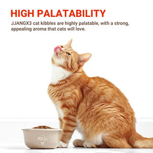 JJANGx3 Premium 1kg comida seca para gatos para gatitos más vendida con vitaminas esenciales para un desarrollo saludable - Product Image 2