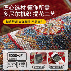 Tapis de porte rectangulaire rouge Dornier, en fibre de polyester, antidérapant, pour entrée de maison, 871 - Product Image 2