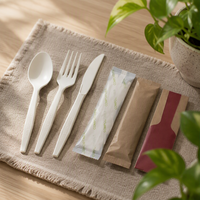 Ustensiles de compagnie aérienne biodégradables et compostables, ensemble de couverts en CPLA, couteau, fourchette, cuillères, emballés individuellement