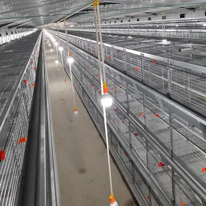 養鶏農家建設のためのレイヤーチキンブロイラーチキンハウス技術提案のための無料プランレイアウト設計ケージ
