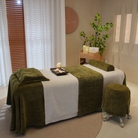 Ensemble de draps de table de massage épais vert et blanc, ensemble de housses de lit facial en velours