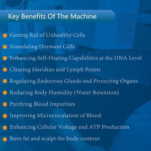 भौतिक शरीर के तौर-तरीकों के लिए 1 टेरहर्ट्ज़ चिकित्सा उपकरण में एफ-श्रृंखला प्रो 4 - Product Image 6