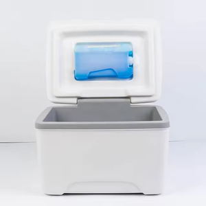 Insulated Portable Modern PP <b>Cooler</b> <b>Box</b> for Camping High Quality Recyclable Water Resistant 8L Capacity Wine & Food - Product Image 4