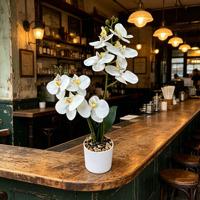 Hoogwaardige witte kunststof vlinderorchidee 17 inch gepotte bloem met stenen, milieuvriendelijke decoratie voor koffieshop, bruiloft en huis.