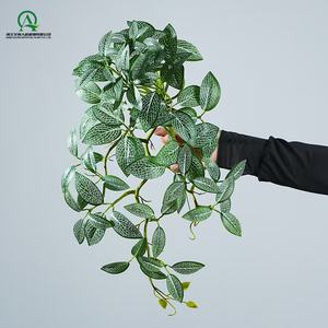 ต้นไม้เทียมตามใบ <span class=keywords><strong>fittonia</strong></span> แขวนอยู่ที่บ้านสวนสำหรับสำนักงานที่หลงทางการแขวนใบไม้สีเขียวไม้เลื้อยเทียม - Product Image 6