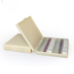 Cistadenocarcinoma seroso papilar ovárico de Educación Superior, <span class=keywords><strong>Ciencia</strong></span> Médica, sección patológica, juego de portaobjetos de microscopio de vidrio - Product Image 1