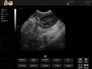 เครื่อง K7ตรวจสอบสัตวแพทย์7.5 MHZ แบบพกพาแบตเตอรี่ในตัวได้รับการรับรองจาก Class II - Product Image 3