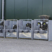 Petite huche pour veaux Hangar pour vaches Cages pour bovins Maison Huche pour veaux pour équipement d'élevage agricole