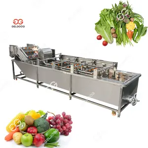 Gelgoog Continuously Water Fruit Cleaning Machine Vegetable Processing Equipment Fruits Washing And Pulping Line