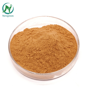 Estratto in Polvere di Semi di Ippocastano di Alta Qualità Newgreen, Aescina 20% - Product Image 3