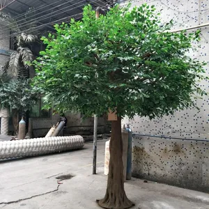 STBY64 disegno artificiale ficus albero texture albero di banyan con radice di tutto il look di disegno albero artificiale