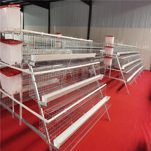 Meilleures ventes de cages <span class=keywords><strong>à</strong></span> poules pondeuses prêtes <span class=keywords><strong>à</strong></span> l'exportation, cages <span class=keywords><strong>à</strong></span> poules pondeuses pour élevage avicole au Bangladesh, poulaillers préfabriqués <span class=keywords><strong>à</strong></span> vendre - Product Image 4