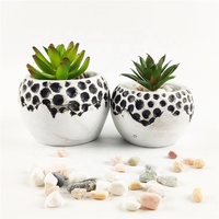 Ensemble de pots à plantes ronds en ciment faits à la main de haute qualité, écologiques et durables pour la décoration de la maison et du jardin